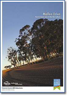 Tracks of the Mallee